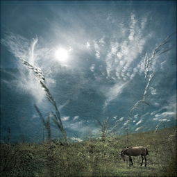 “一年一度秋风劲,望断天涯路,云深不知归处”是谁的诗?