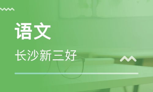 长沙有哪些提供一对一辅导的家教机构?