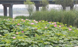 邯郸涉县属于什么区
