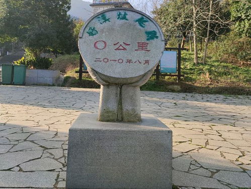 什么是登高?