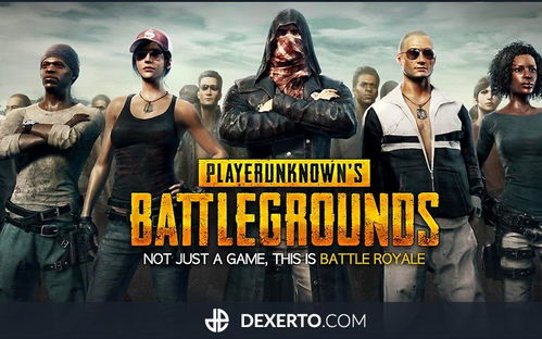 unknown是什么意思