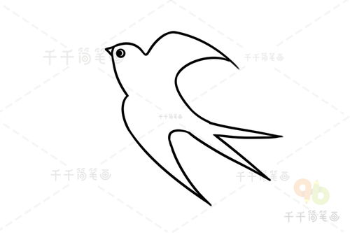 燕子图片简笔画儿童画，燕子图片简笔画彩色 简单