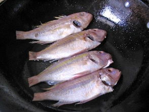 三鱼深井水泵价格和型号，三鱼自吸泵价格表220v