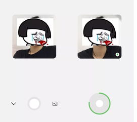 屡试不爽什么意思