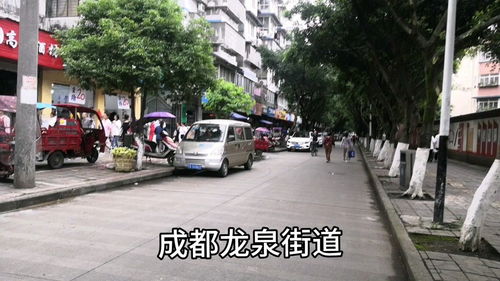 龙泉街道有哪几个社区，龙泉街道邮政编码