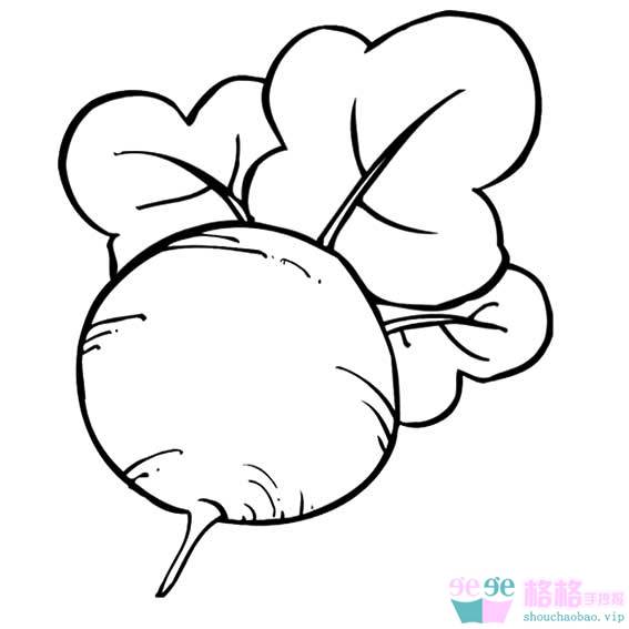 100种蔬菜水果简笔画