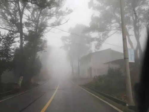 经过是什么意思