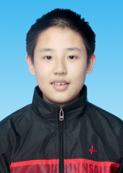 邵帅为什么写吉林的风