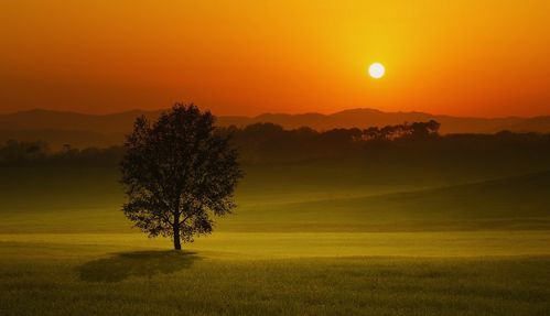 傍晚英语怎么拼读，这是一个宜人的傍晚英语