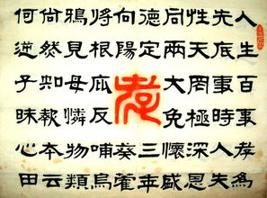 我的收藏 作文600字