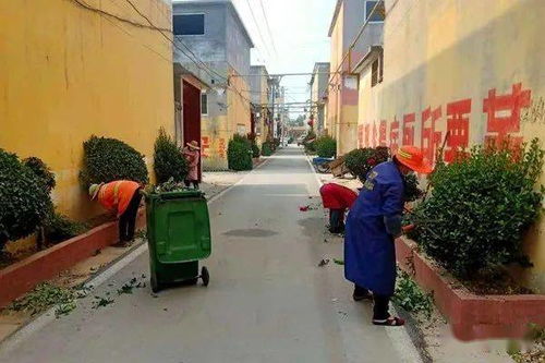 果壳里的城属于哪个街道