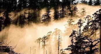 迷魂凼在四川什么地方，四川迷魂凼