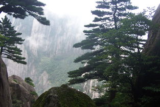 登峰造极