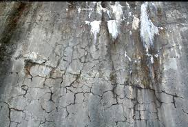 (烂)的英文是什么?