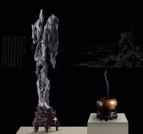 无本之木无源之水全句是什么?