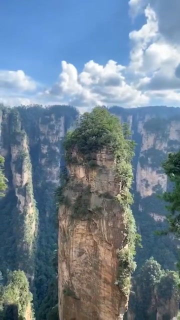登峰造极小说，登峰造极下一句是什么