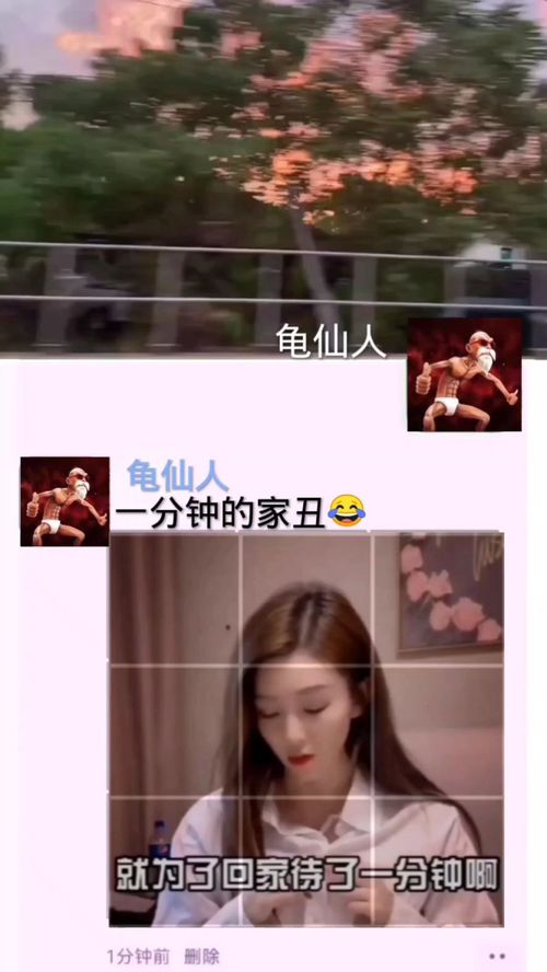 家丑不可外扬下一句，家丑不可外扬的道理