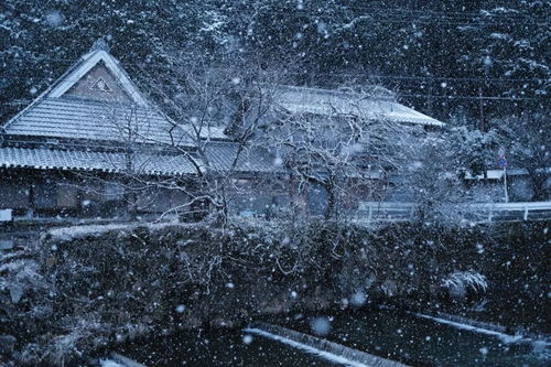风潇雨晦是什么意思