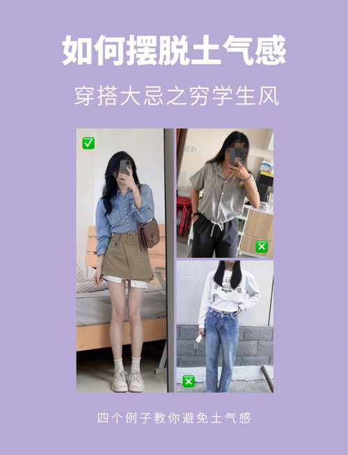 规则是什么意思，素是什么意思