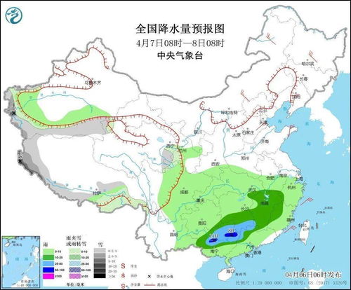 蚂蚁对天气变化有那些表现