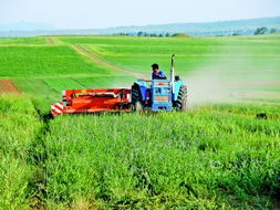 打草机图片，打草机的正确使用教程