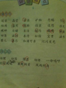 书包的书能组什么词