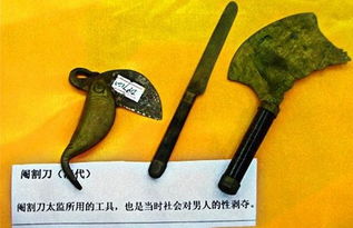 什么叫净身,是什么意思?