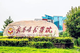 武昌首义学院学费明细查询，武昌首义学院学费包括住宿费吗