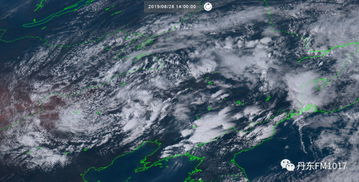 冷涡是气旋还是反气旋，冷涡蓝