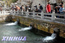 名泉72下一句是什么?