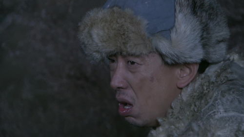 绺子是什么意思?