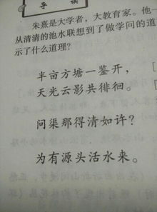 关于启示的作文500字 观书有感