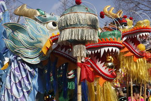 耍龙灯的图片，耍龙读后感