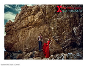 礁石图片，礁石上长了密密麻麻的是什么