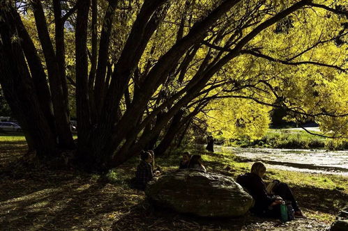 好景是指哪一个景色?