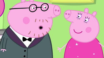 丢了幸福的猪歌词表达什么意思，丢了幸福的猪小说