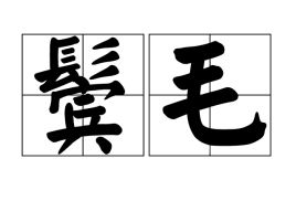 鬓毛的解释鬓毛的解释是什么