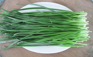 韭菜是什么意思?