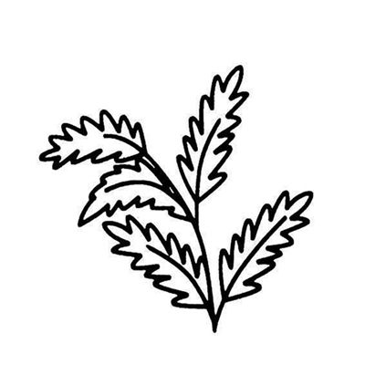 艾草简笔画可爱卡通，艾草简笔画可爱