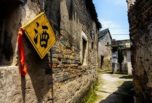 好酒不怕巷子深的意思如何理解好酒不怕巷子深