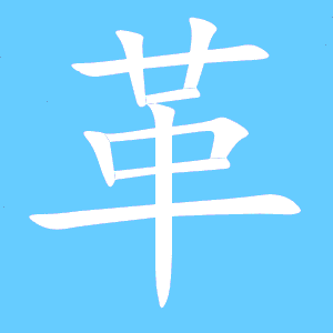 革的组词有什么?