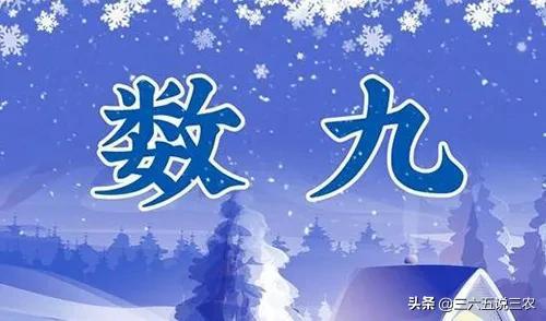 数九天一共多少天，数九天的那个冰是什么歌
