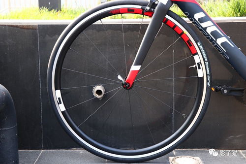 gallop是什么意思，gallop头盔