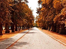一场秋雨一场寒下一句是啥节气，一场秋雨一场寒下一句怎么说