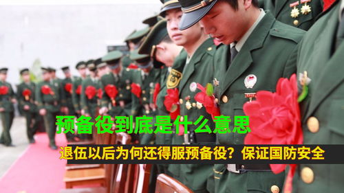 是否预备役是什么意思，国防预备役是什么意思