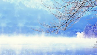 玉树琼枝的意思是什么季节，玉树琼枝下一句