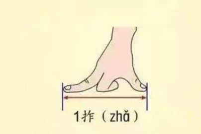 一拃长是什么意思，一拃的正确量法