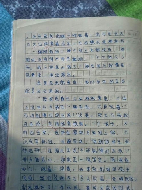 难忘的经历作文