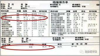 总蛋白是什么意思 血清总蛋白的解释