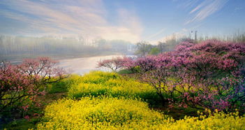 帮我查安徽阜阳最近几天天气预报